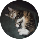 L Svensson profile picture